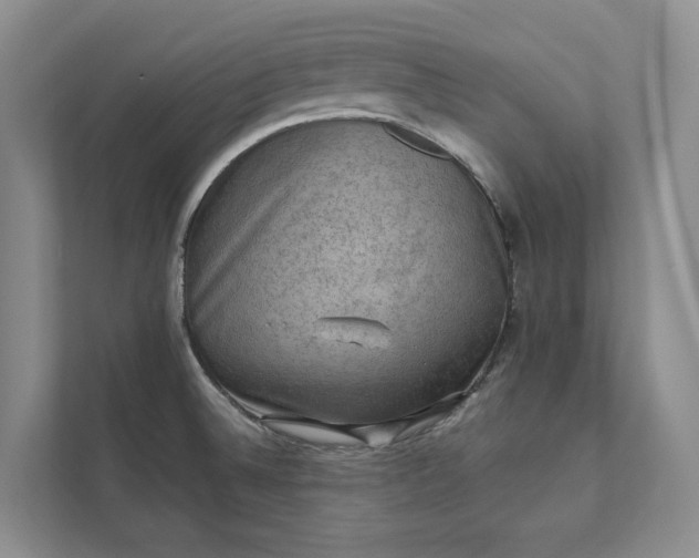 X0000111481524200907210938