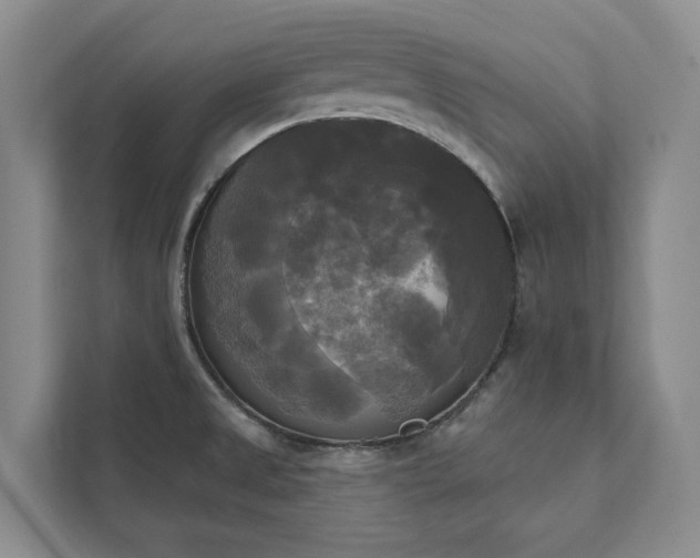 X0000111481525200907210938