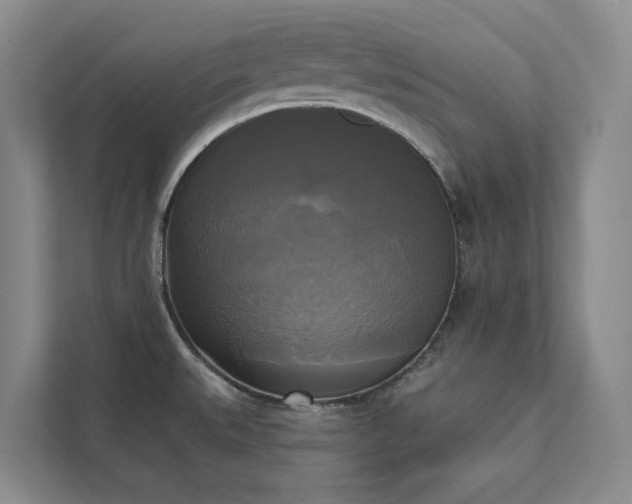 X0000111481527200907210938