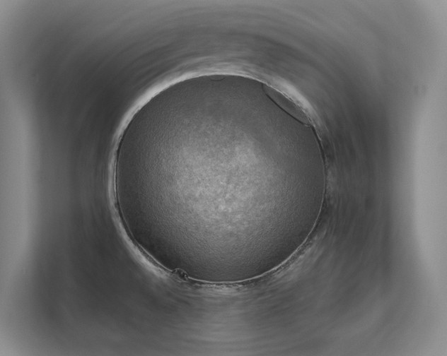 X0000111481528200907210938