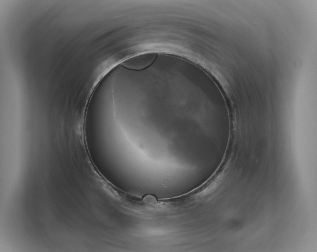X0000111481529200907210938