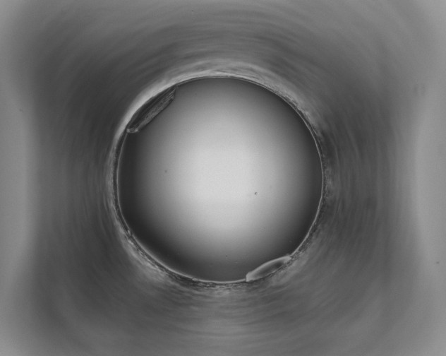 X0000111481530200907210938
