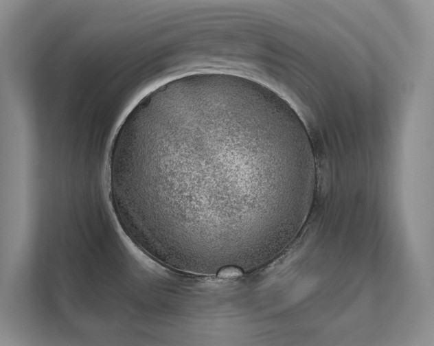 X0000111481531200907210938