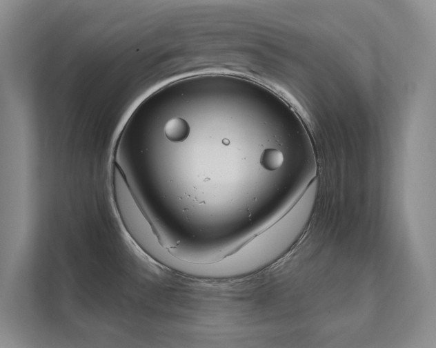 X0000111481532200907210938
