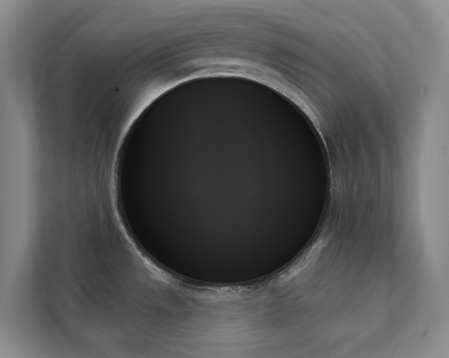 X0000111481533200907210938
