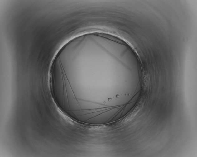 X0000111481535200907210938