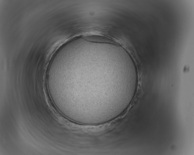 X0000111480001200907281214