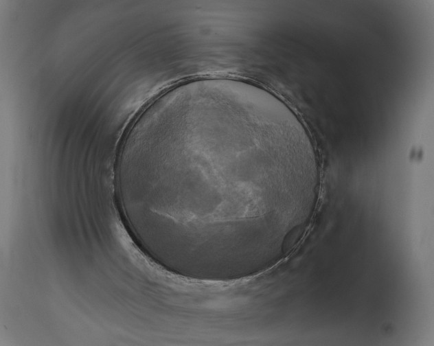 X0000111480002200907281214
