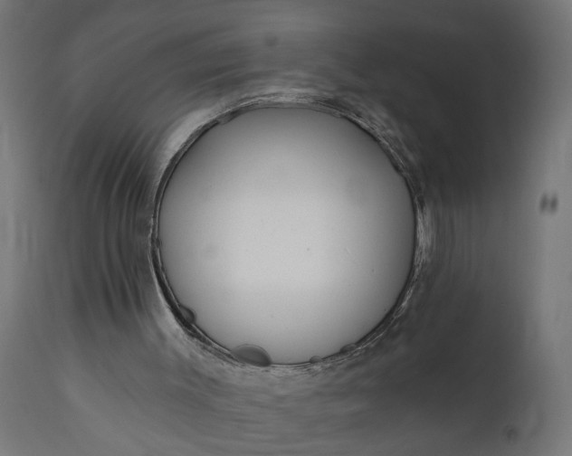 X0000111480003200907281214