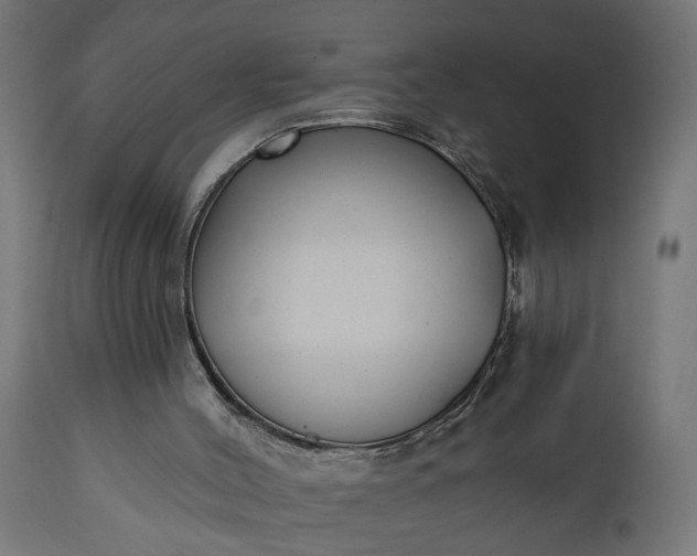 X0000111480004200907281214