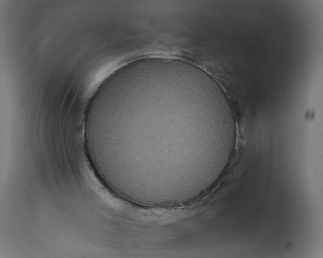 X0000111480005200907281214
