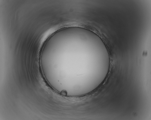 X0000111480006200907281214