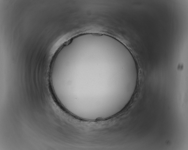 X0000111480007200907281214
