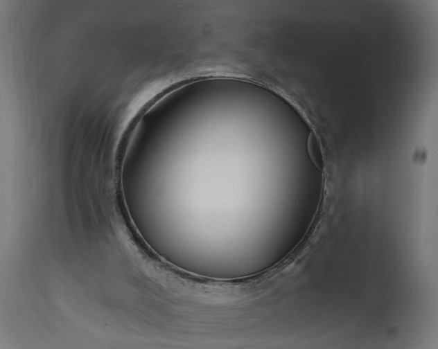 X0000111480008200907281214