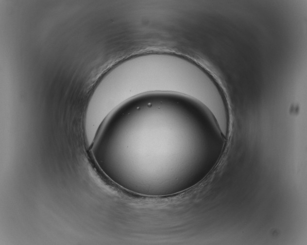 X0000111480009200907281214