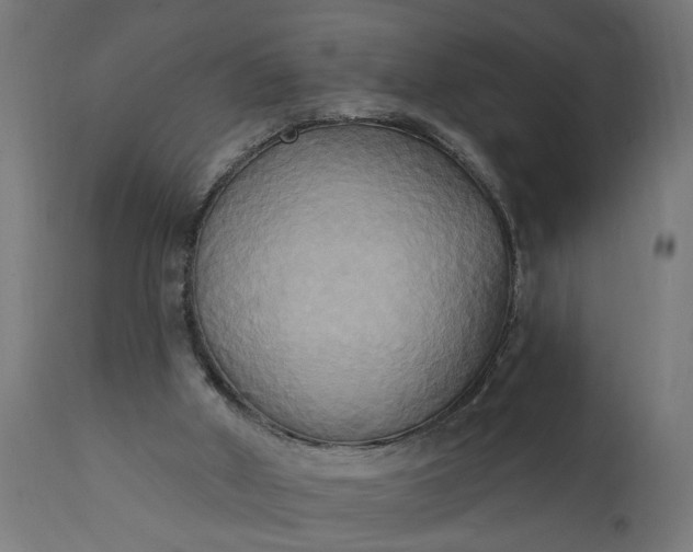 X0000111480010200907281214
