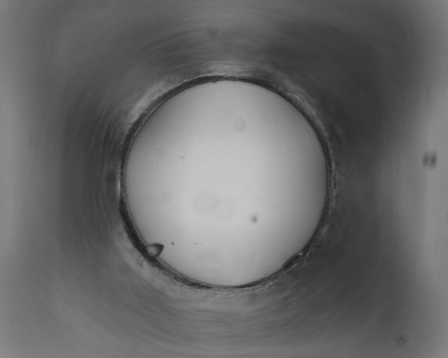 X0000111480011200907281214