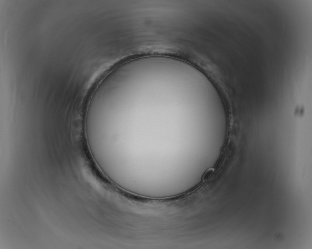 X0000111480012200907281214