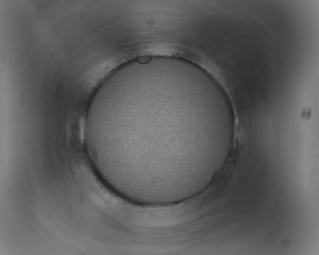 X0000111480013200907281214