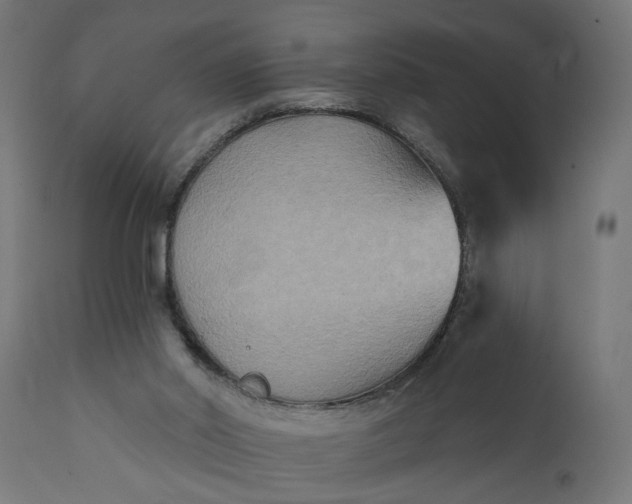 X0000111480014200907281214
