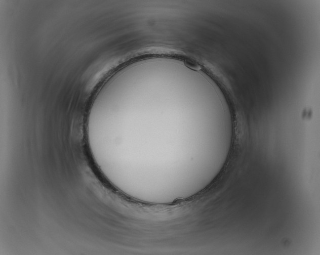 X0000111480015200907281214