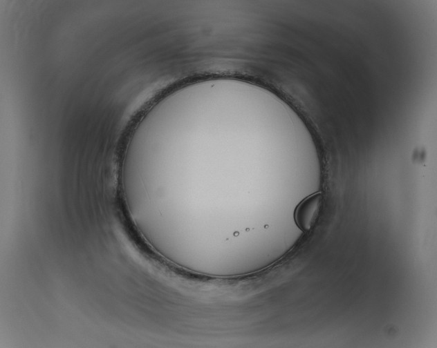 X0000111480016200907281214