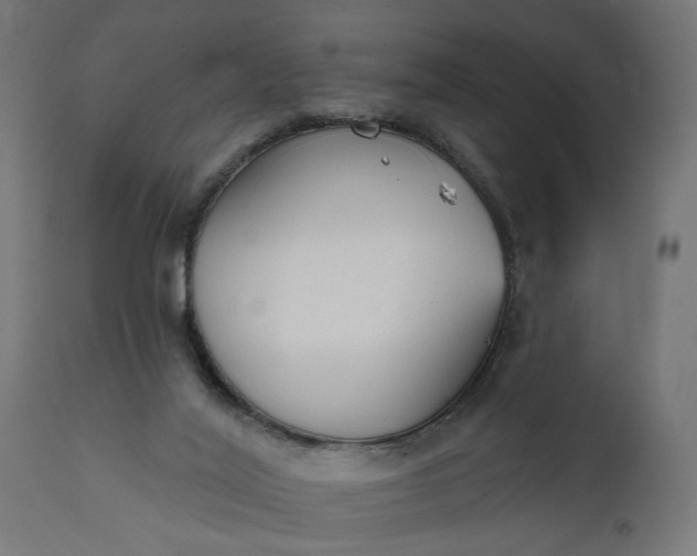 X0000111480020200907281213