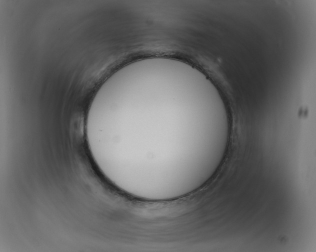 X0000111480021200907281213