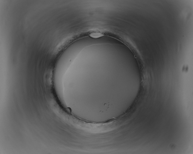X0000111480023200907281213