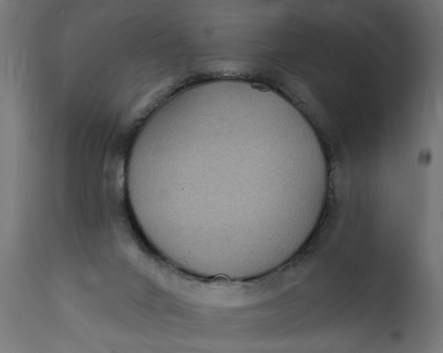 X0000111480024200907281213