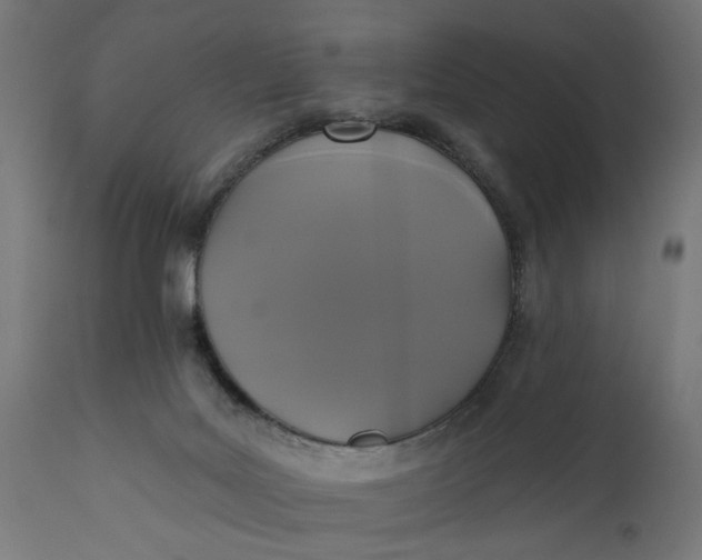 X0000111480027200907281213
