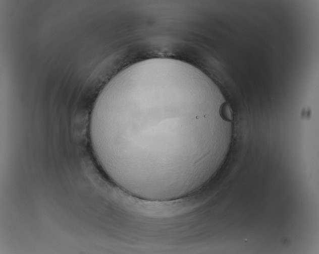 X0000111480030200907281213