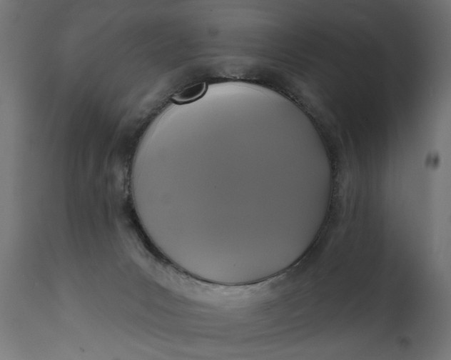 X0000111480031200907281213