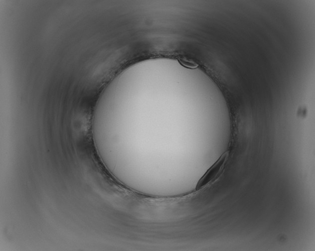 X0000111480033200907281213