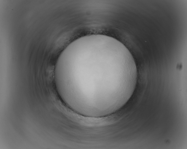 X0000111480034200907281213