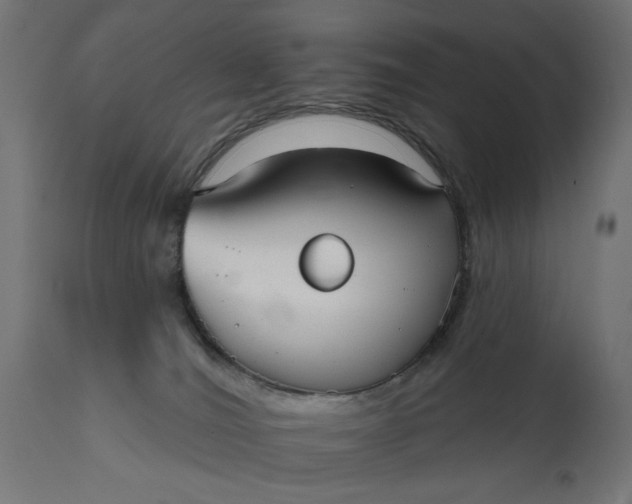X0000111480036200907281213