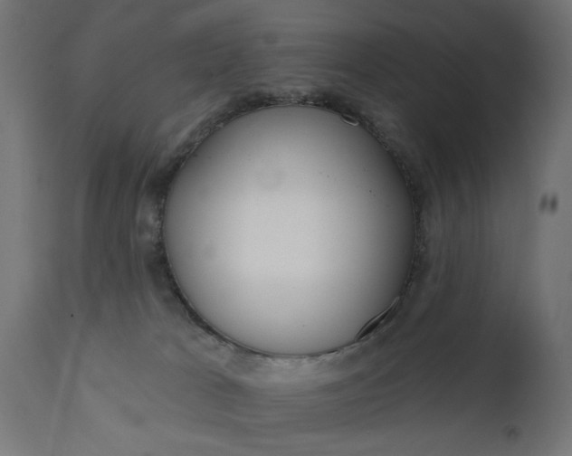 X0000111480037200907281213
