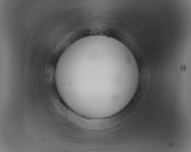 X0000111480038200907281213