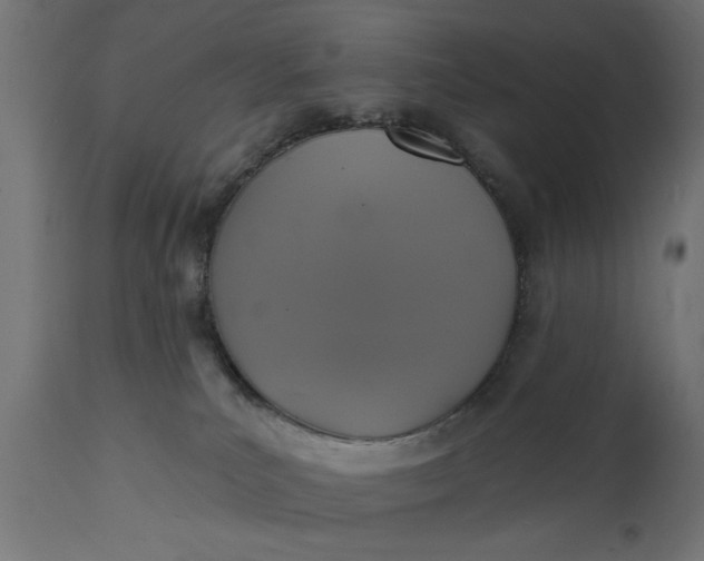 X0000111480039200907281213