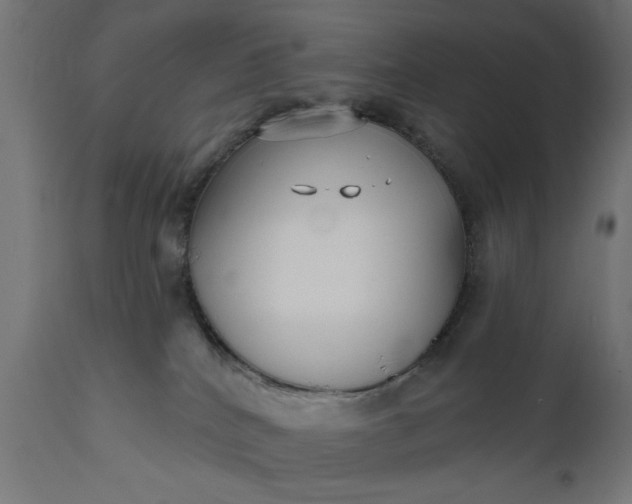 X0000111480040200907281213