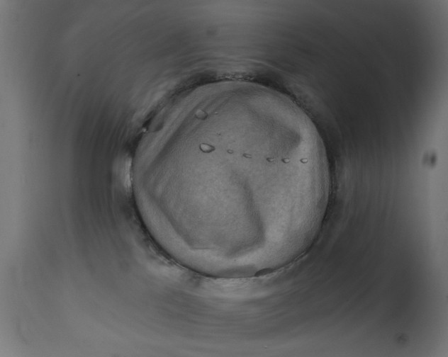 X0000111480041200907281213