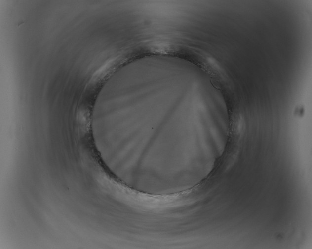 X0000111480043200907281213