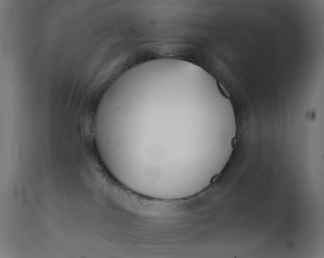 X0000111480044200907281213