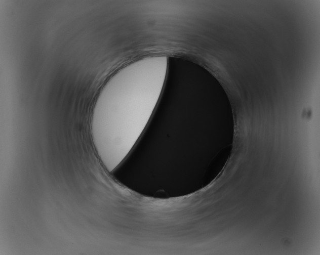 X0000111480045200907281213