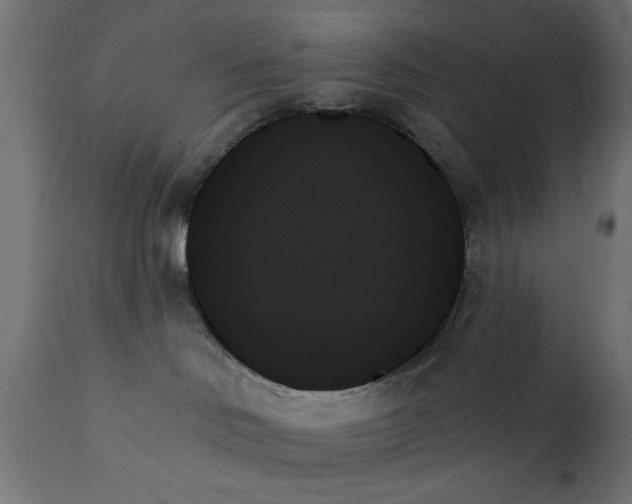 X0000111480046200907281213