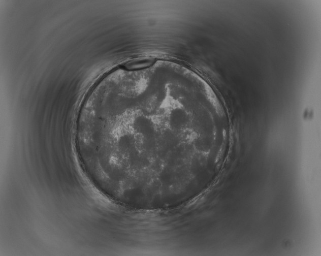X0000111480049200907281212