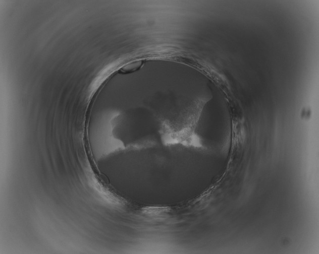 X0000111480051200907281212