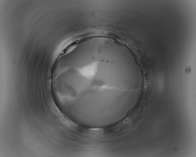 X0000111480053200907281212