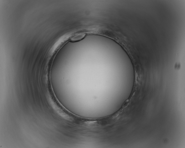 X0000111480054200907281212