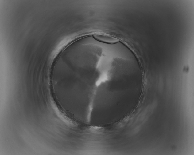 X0000111480055200907281212